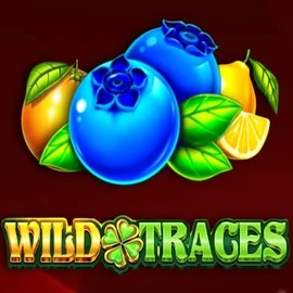 Play Wild Traces slot by Amusnet Interactive on morosspin.com